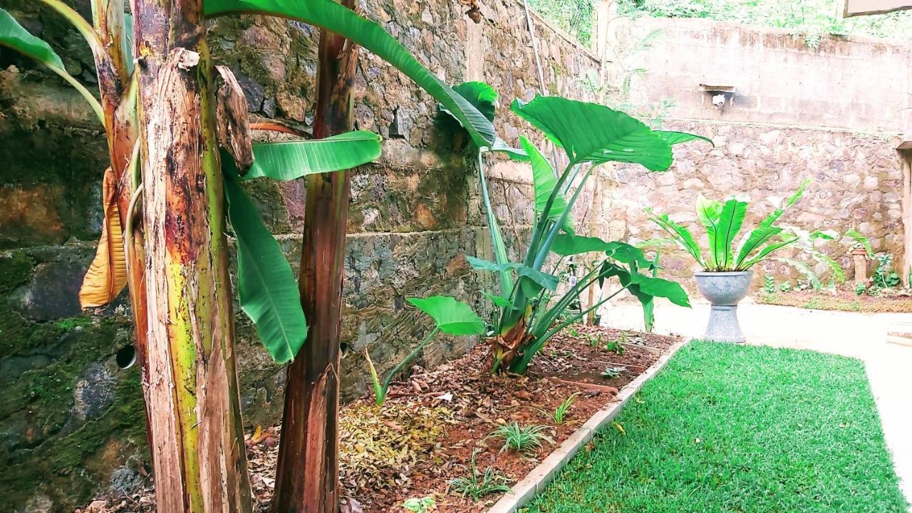Villa Senan - 2 Apartments - ミリッサ エクステリア 写真